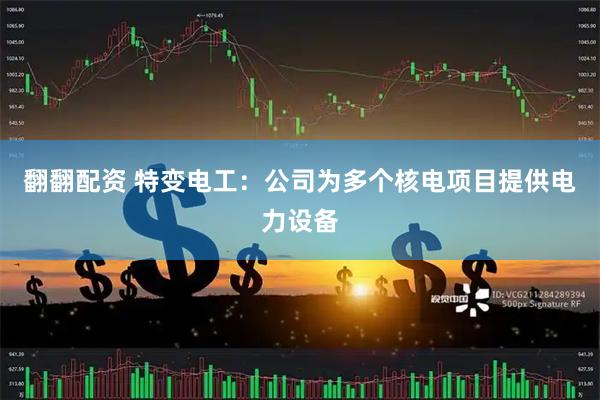 翻翻配资 特变电工：公司为多个核电项目提供电力设备